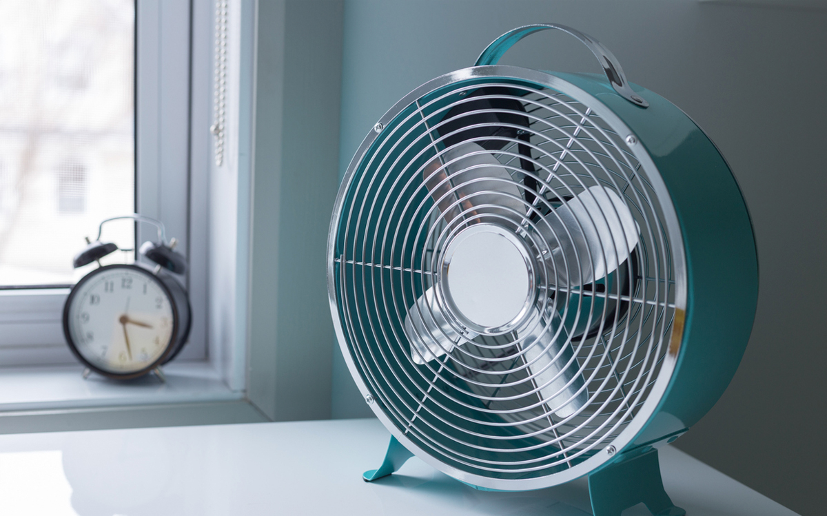 Colega canal Adulto Cómo elegir el ventilador perfecto