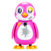 Salva al Pingüino + 5 años
