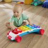 Fisher-Price Xilófono Gigante Juguete Musical Bebés +9 Meses