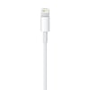Cable Apple Conector Lightning a USB 1m