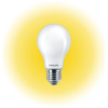 Bombilla Philips LED Estándar 150W E27