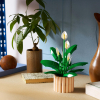 LEGO Botanicals Lirio de la Paz, Juguete de construcción +18 años - 11504