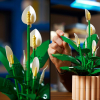 LEGO Botanicals Lirio de la Paz, Juguete de construcción +18 años - 11504