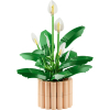 LEGO Botanicals Lirio de la Paz, Juguete de construcción +18 años - 11504