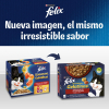Gelatina selección de carnes para gatos Felix Sensations Purina 4 sobres