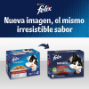 Comida húmeda en gelatina selecciones favoritas para gatos Purina Felix Fantastic 12x85 g