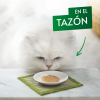 Snack sabor pollo y calabaza para gato adulto Purina Gourmet Nature’s Creations 5x10 g.