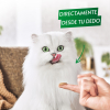 Snack sabor pollo y calabaza para gato adulto Purina Gourmet Nature’s Creations 5x10 g.