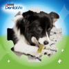 Snack dental para perro grande Purina Dentalife ActivFresh 4 sticks 142 g.
