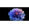 Smart TV MiniLED 75" (190,5 cm) TCL 75C6K Pro con IA, 4K UHD, 144 Hz, HDR10+, HLG, HDR, Dolby Vision, IMAX, Dolby Atmos, DTS X, DTS VIRTUAL X.