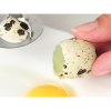 Tijera para huevos FACKELMANN Food & More 4,5cm. - Verde