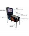 Pinball Virtual Con 902 Juegos - Back To The Future