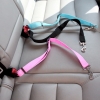 Ajustable Cinturón De Seguridad De Coche Con Clip Para Perros Y Mascotas - Naranja