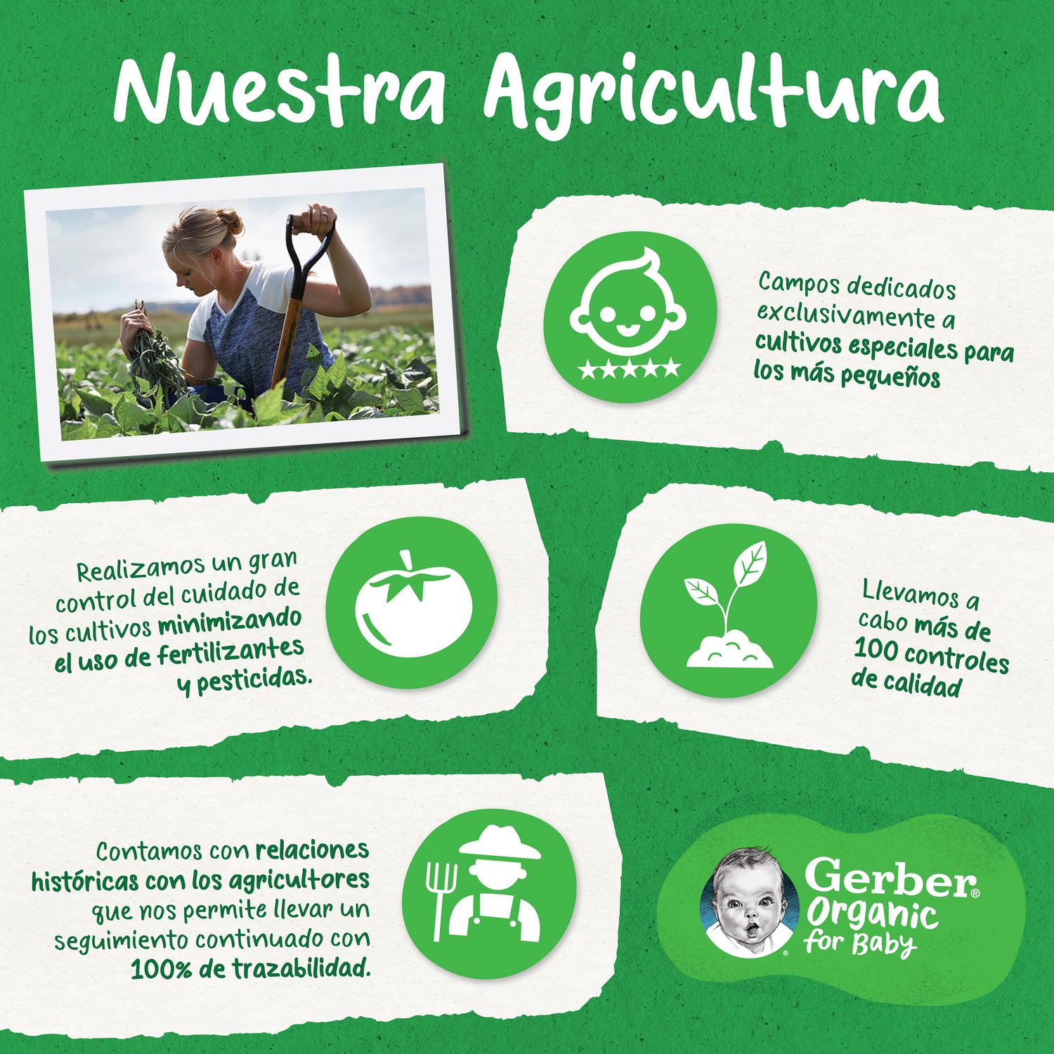 Bolsita de pera, manzana y plátano desde 4 meses ecológico Gerber sin gluten y sin azúcar añadido pack 4 unidades 90 g.