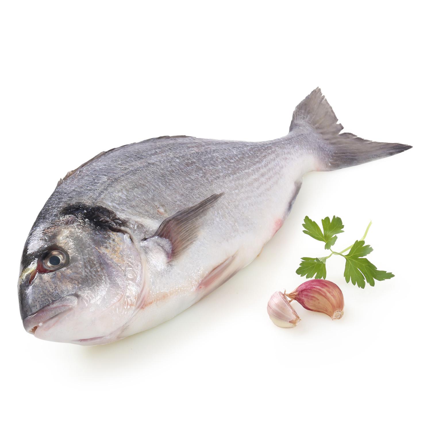 Dorada Círculo de Calidad 700 g aprox