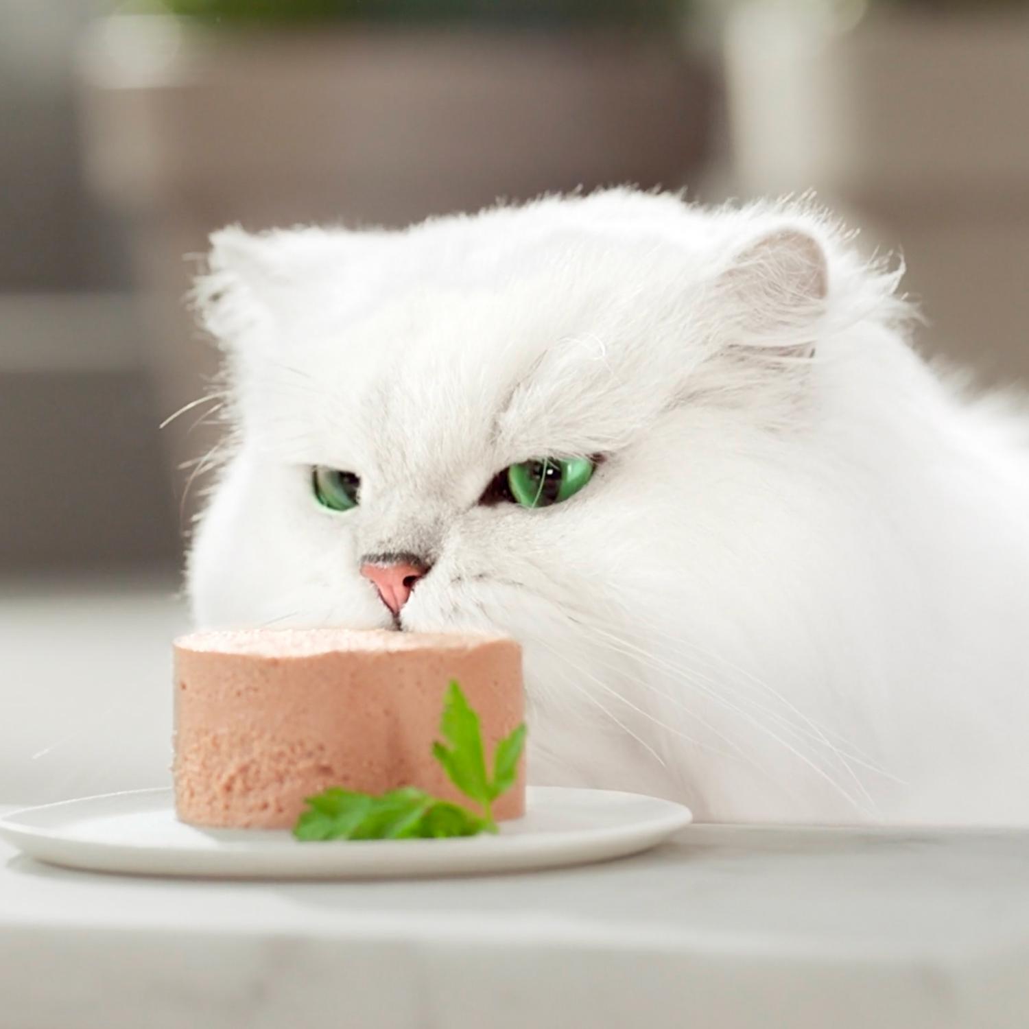 Comida húmeda de pollo para gato adulto Purina Gourmet Gold 85 g
