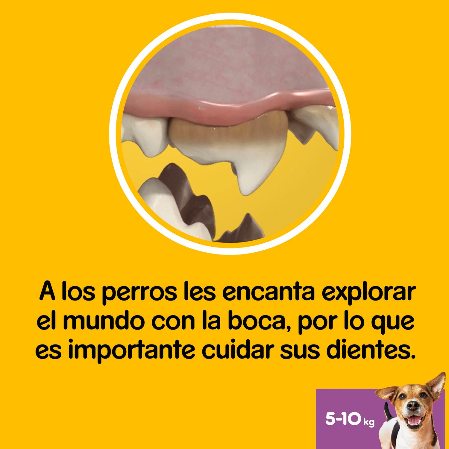 Dentastix de uso diario para la limpieza dental de perros pequeños Pedigree pack de 28 unidades