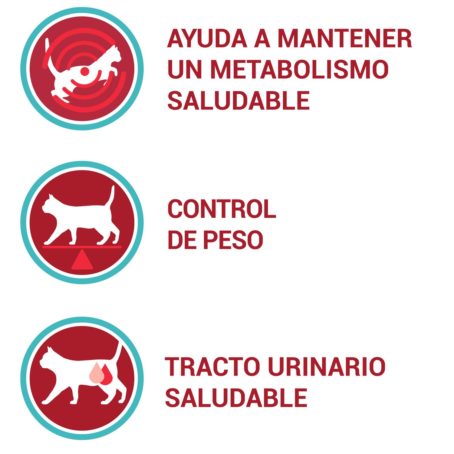 Pienso de buey y trigo para gato adulto esterilizado Purina One 1,5 Kg.