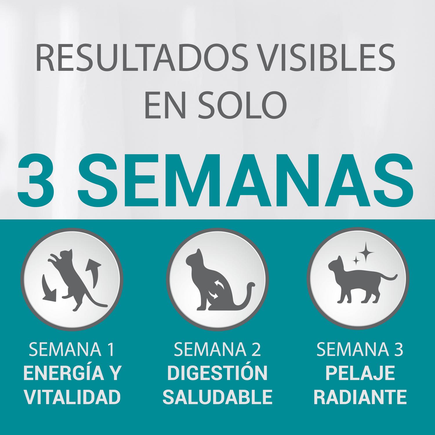 Pienso de buey y trigo para gato adulto esterilizado Purina One 1,5 Kg.