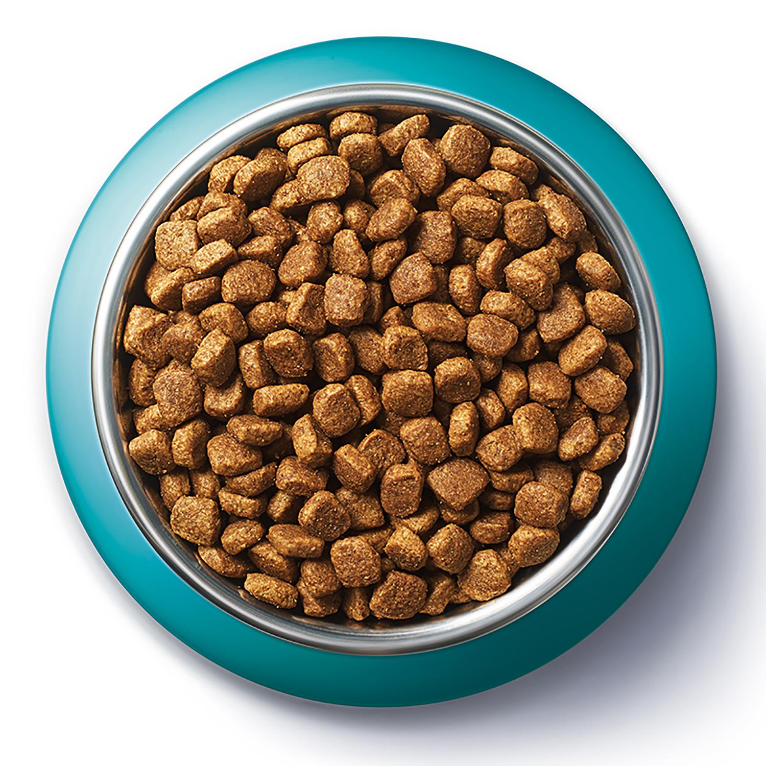 Pienso de buey y trigo para gato adulto esterilizado Purina One 1,5 Kg.