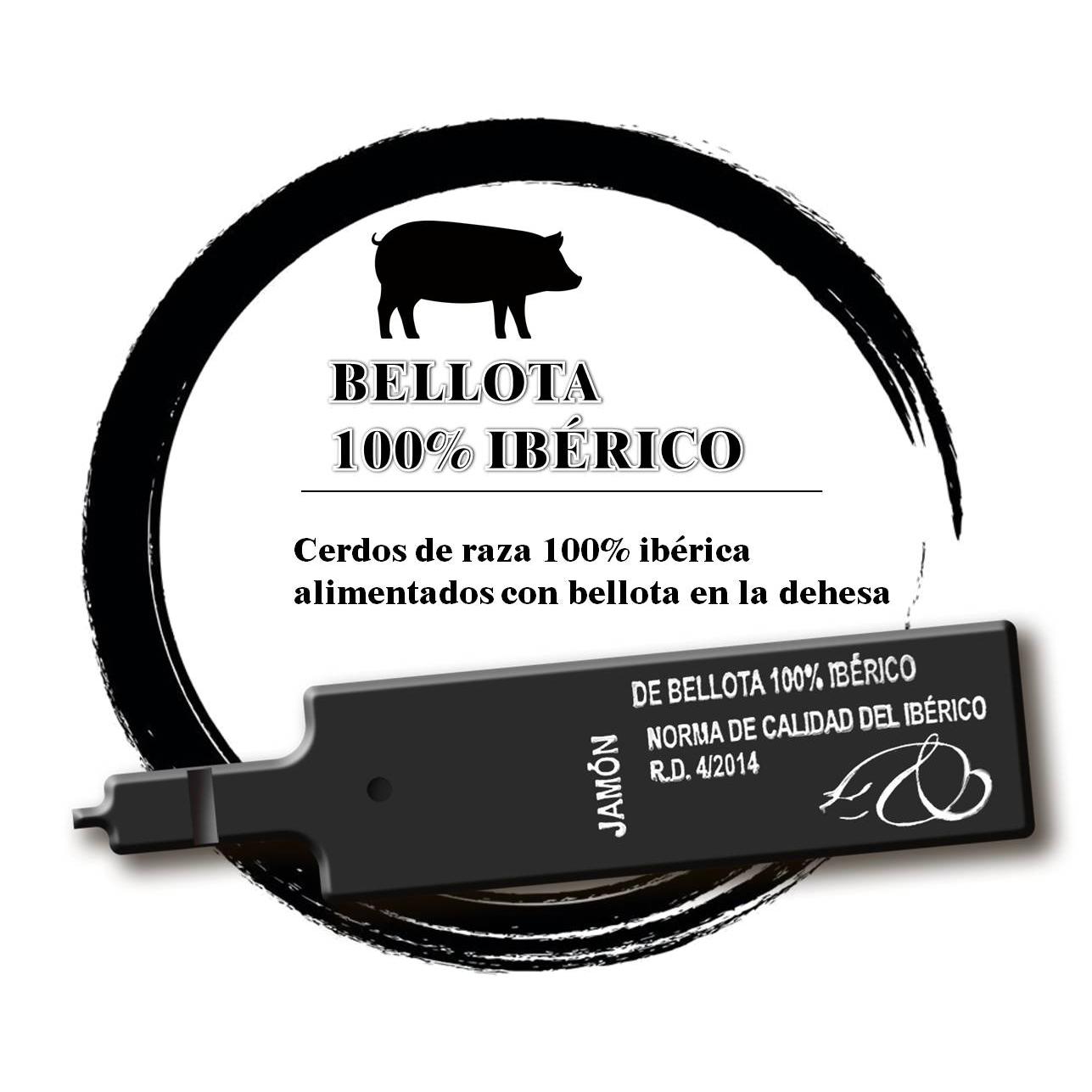 Jamón de bellota ibérico curado 100% raza ibérica D.O. Extremadura De Nuestra Tierra pieza 7 kg aprox