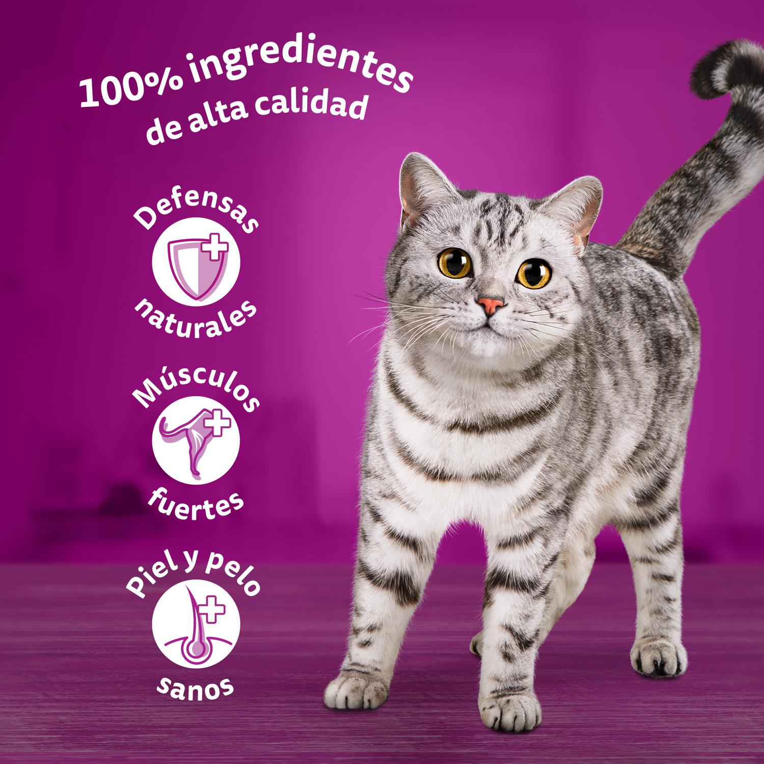 Comida húmeda de ave para gato Whiskas 4x85 g
