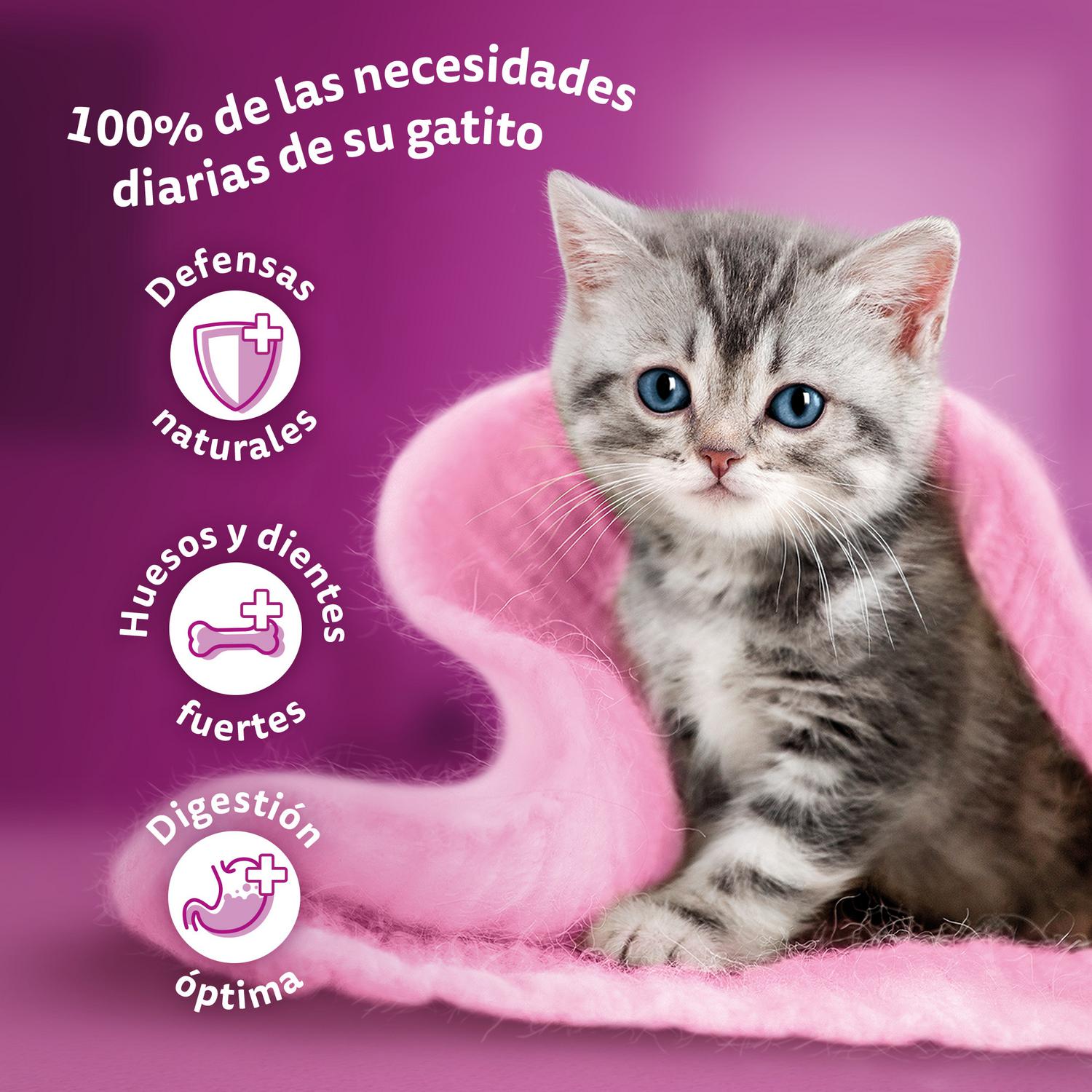 Comida húmeda de carne para gato junior Whiskas 4x85 g