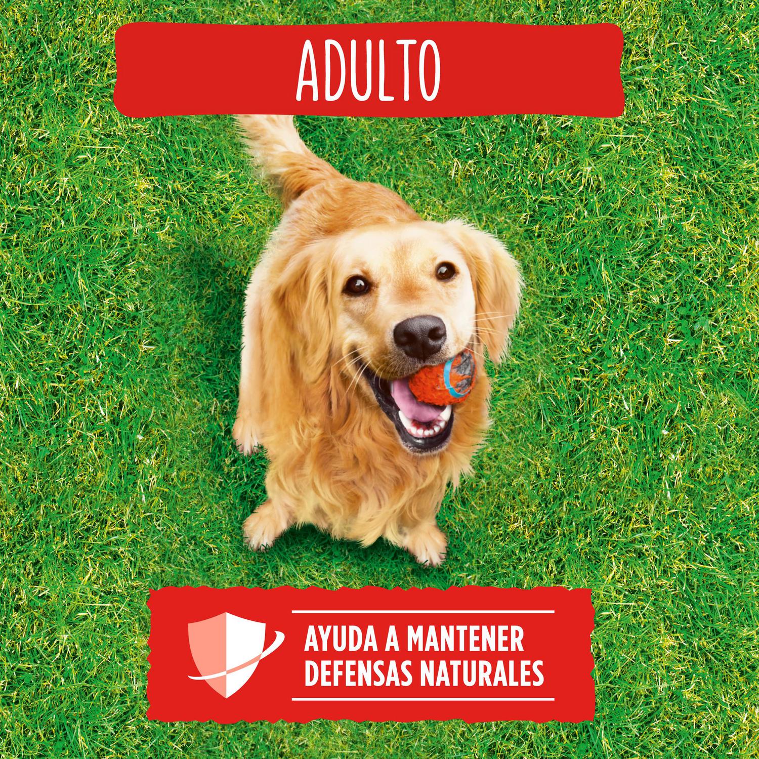 Pienso de buey, cereales y verduras para perro adulto  Purina Friskies 15 kg.