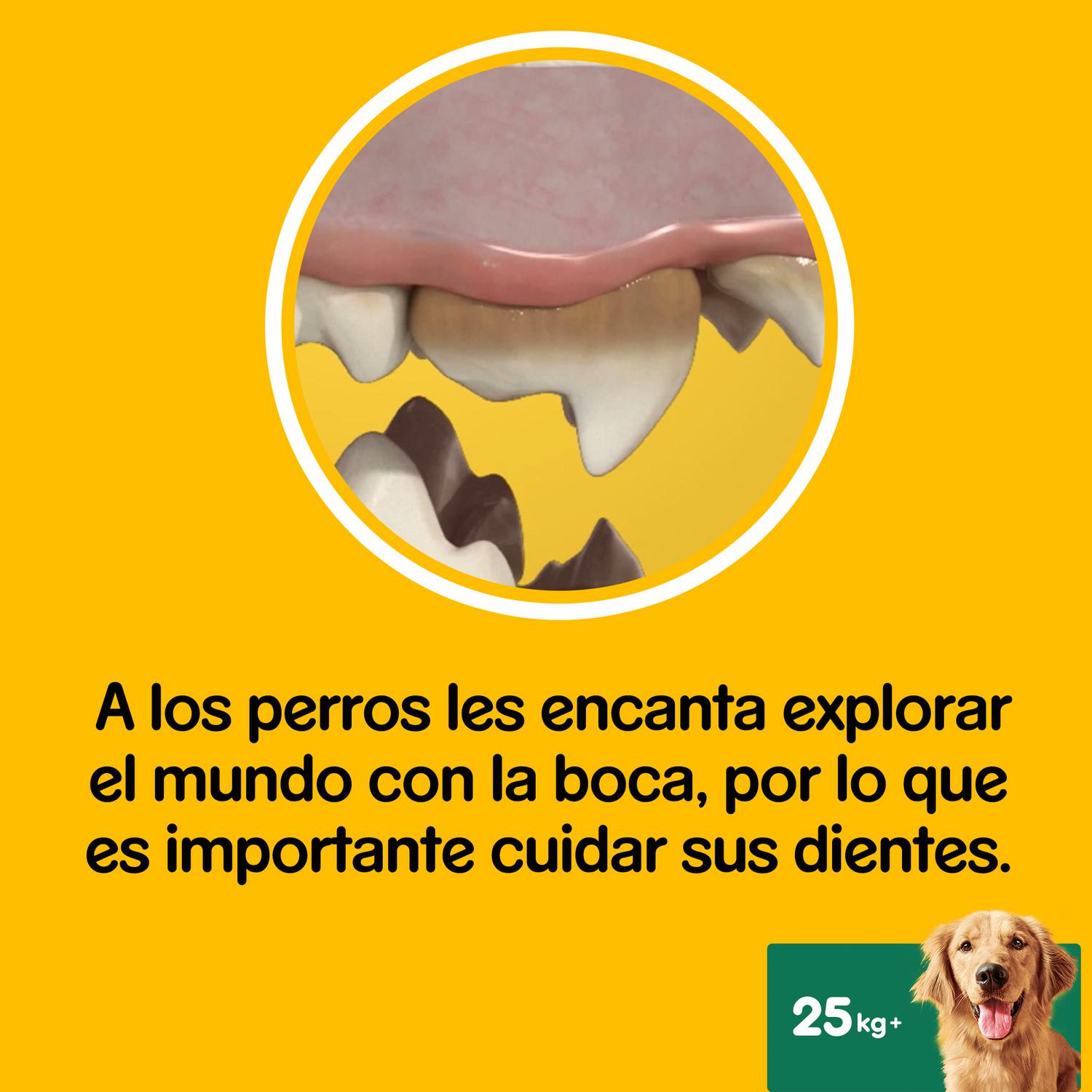 Snacks dental para perros grandes Pedigree Dentastix pack de 56 unidades