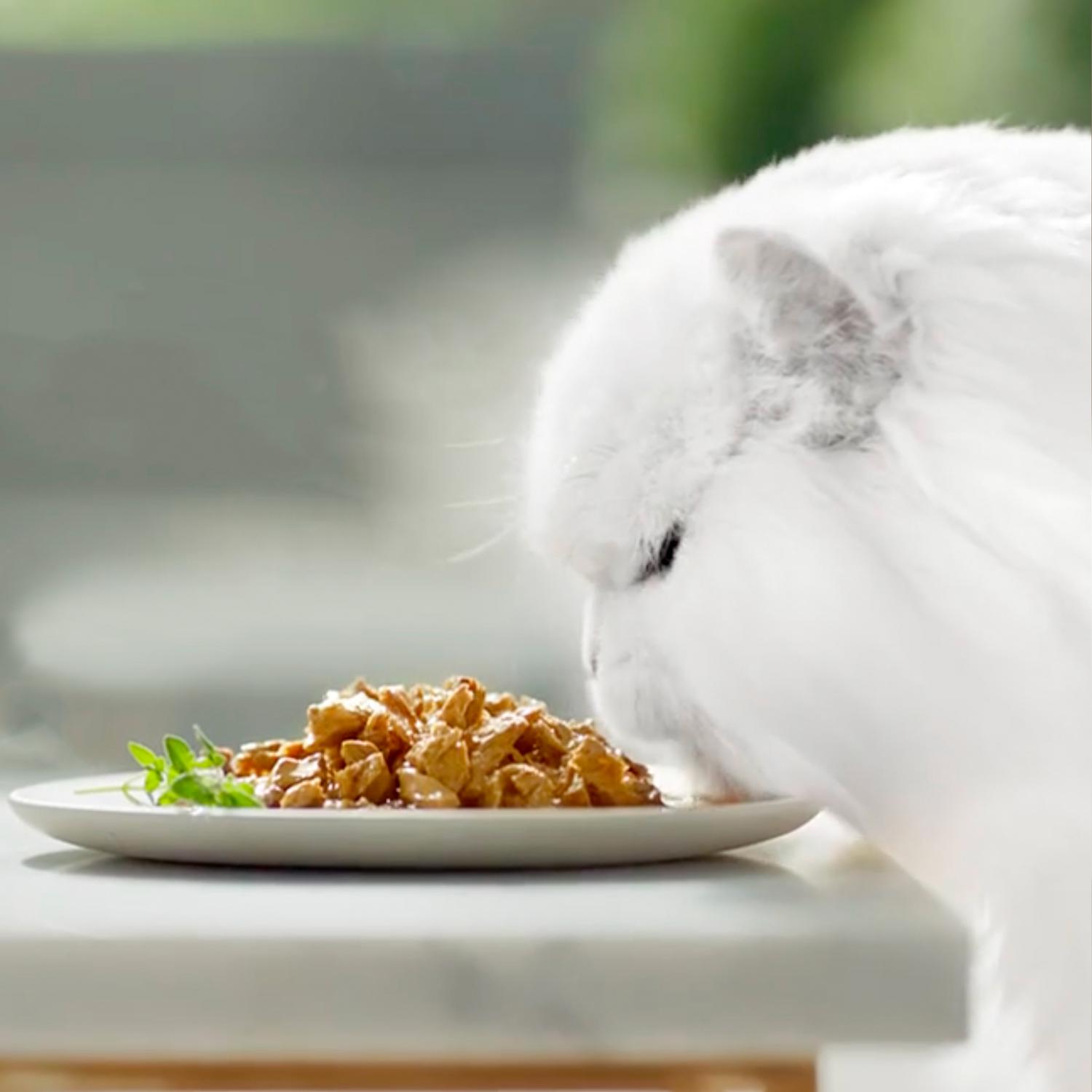 Comida húmeda finas láminas de gelatina para gato adulto Purina Gourmet Perle 4x85 g.