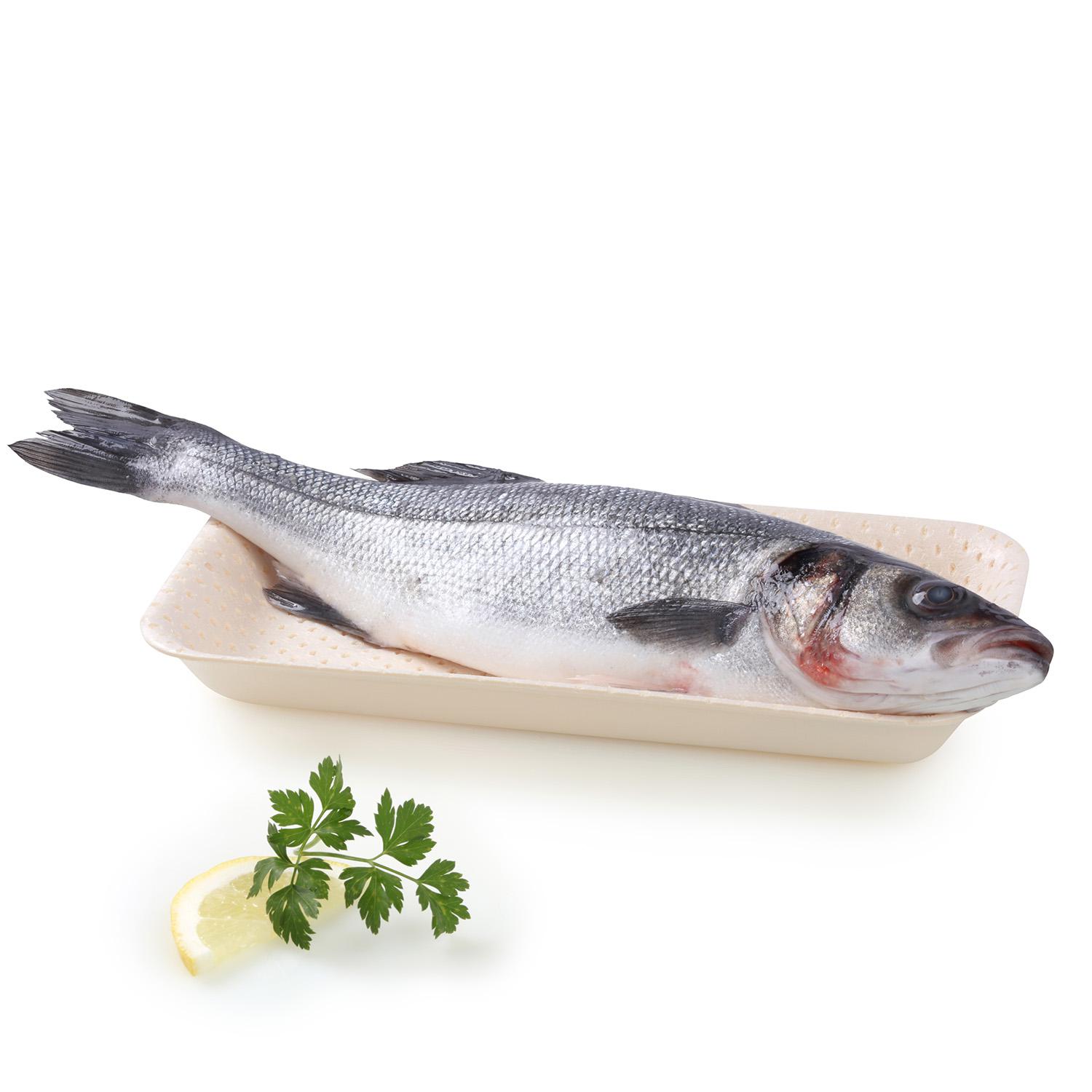 Lubina 600 g aprox