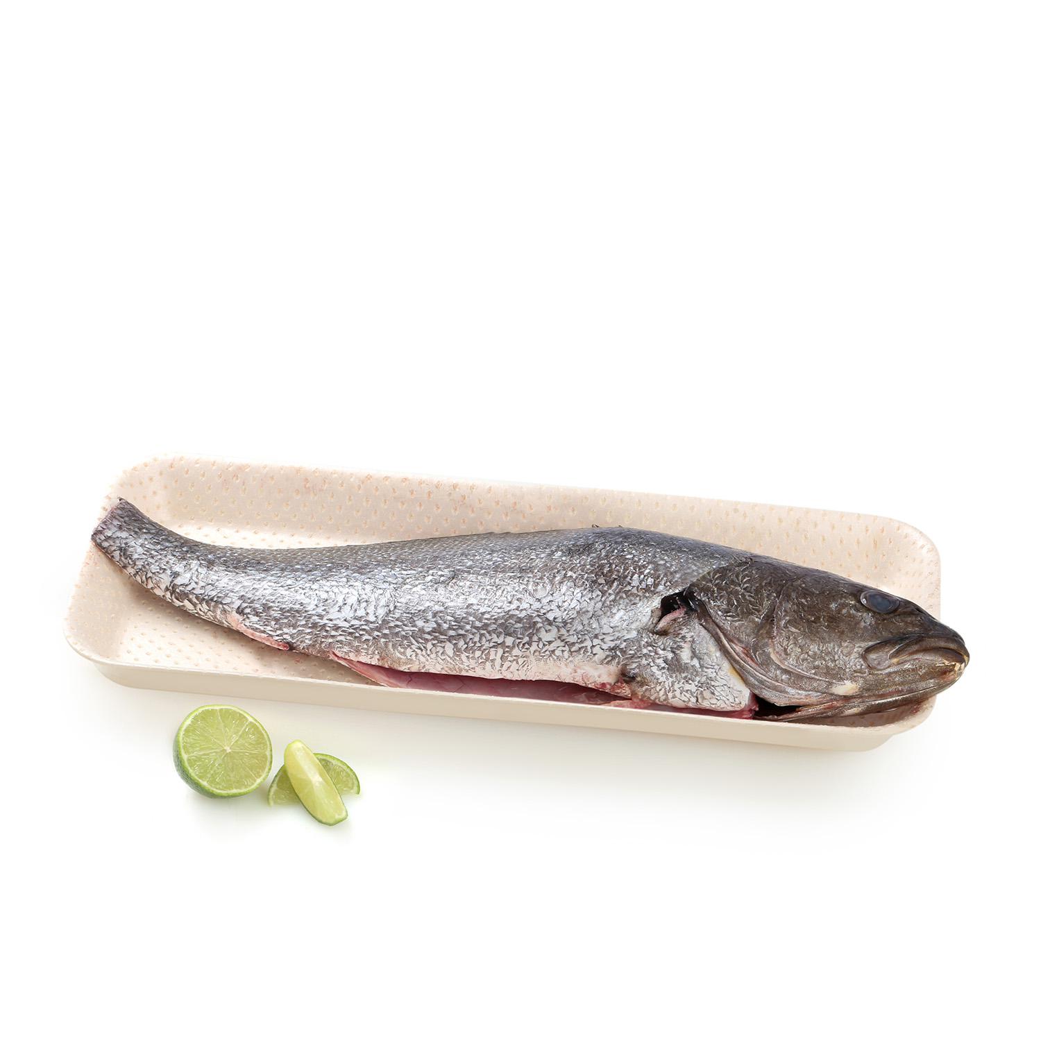 Corvina Círculo de Calidad 2 kg aprox