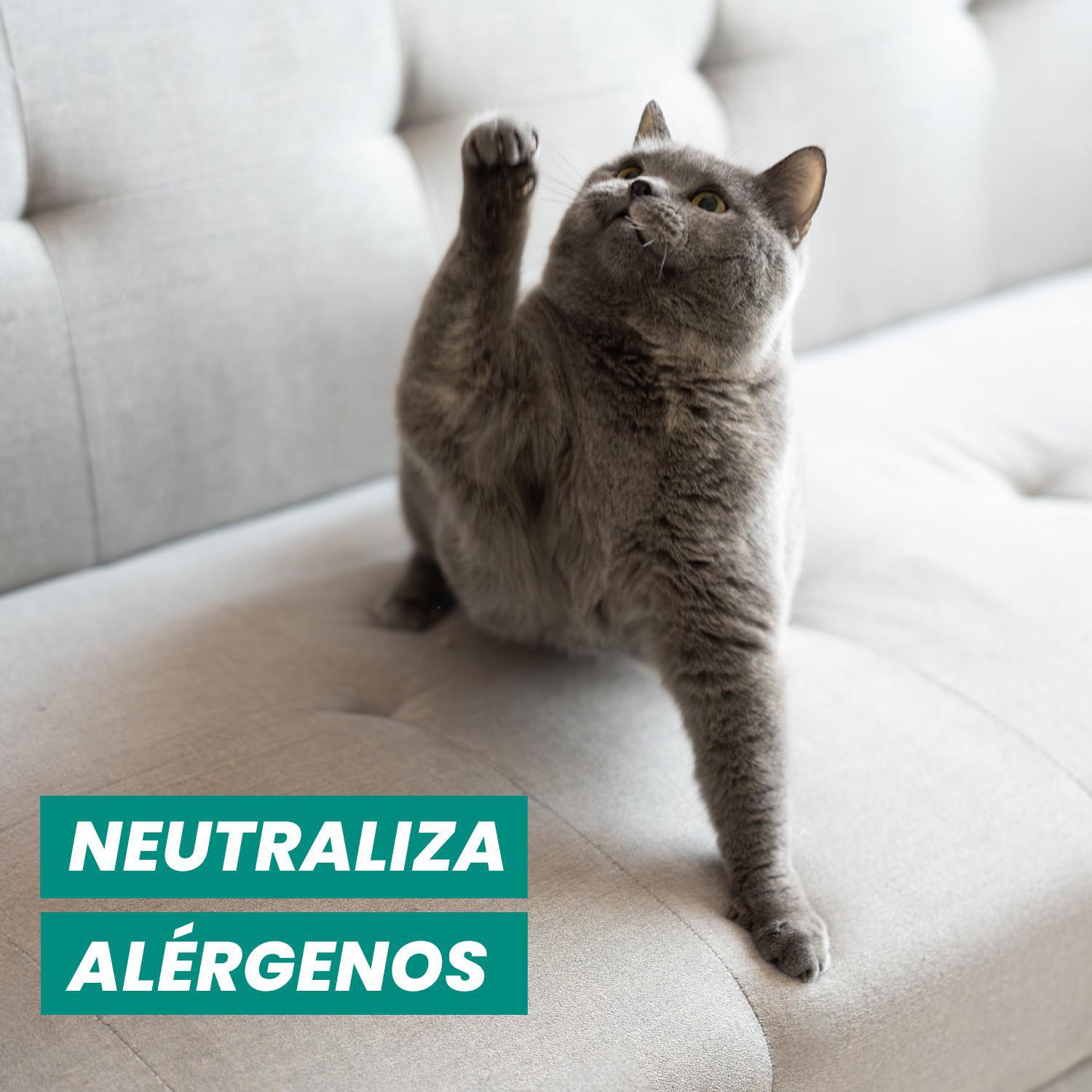 Desinfectante elimina olores textil antialérgenos Sanytol 500 ml.