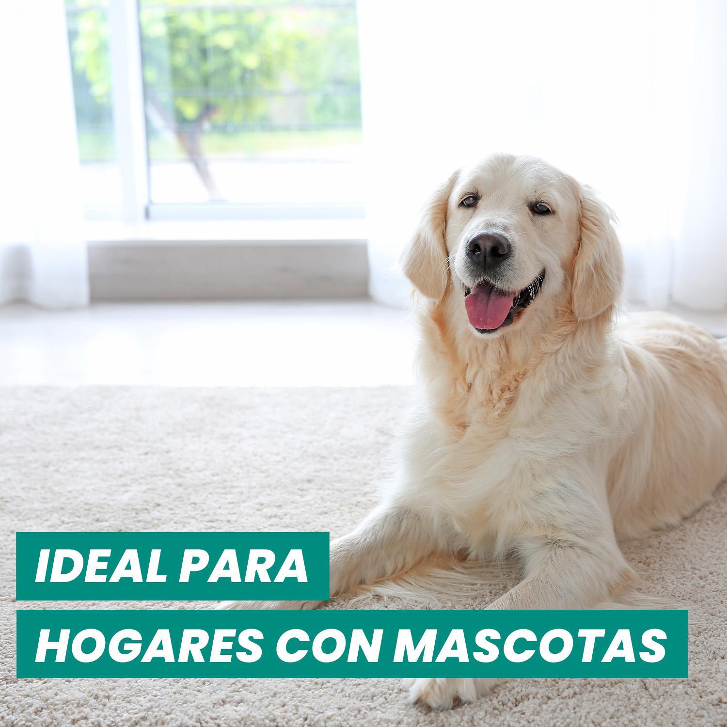 Desinfectante elimina olores textil antialérgenos Sanytol 500 ml.