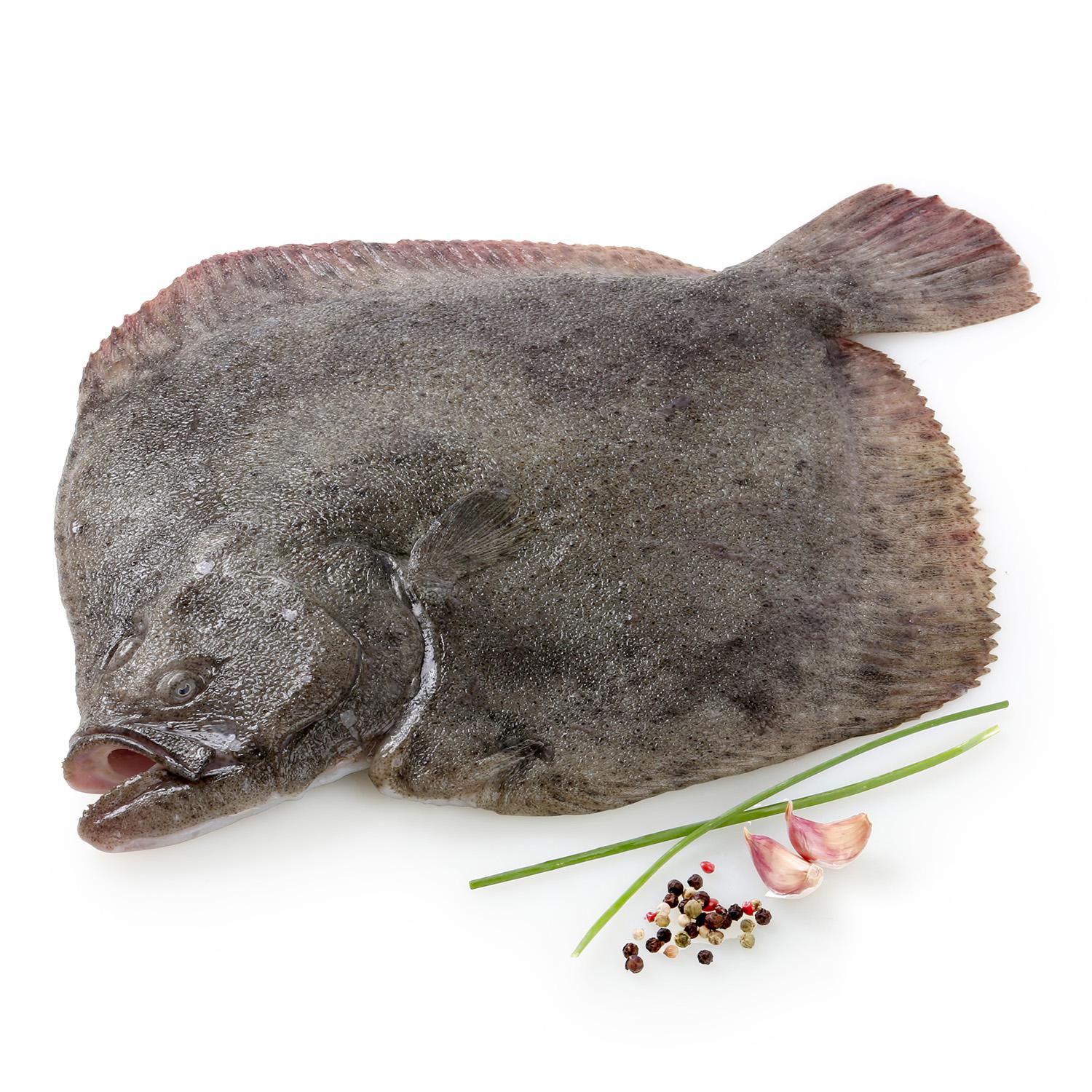 Rodaballo Círculo de calidad 2 kg aprox