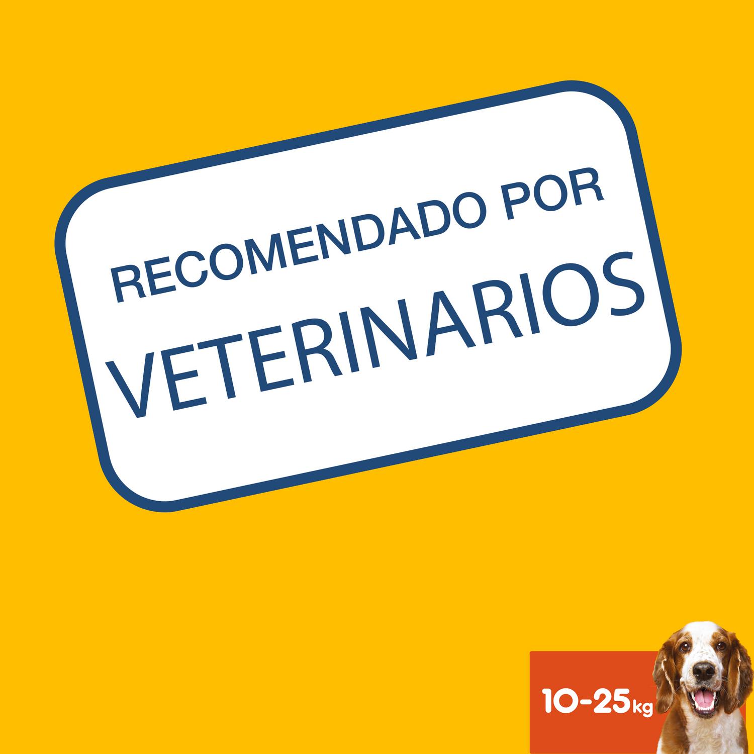 Snacks dental para perros medianos Pedigree Dentastix pack de 7 unidades