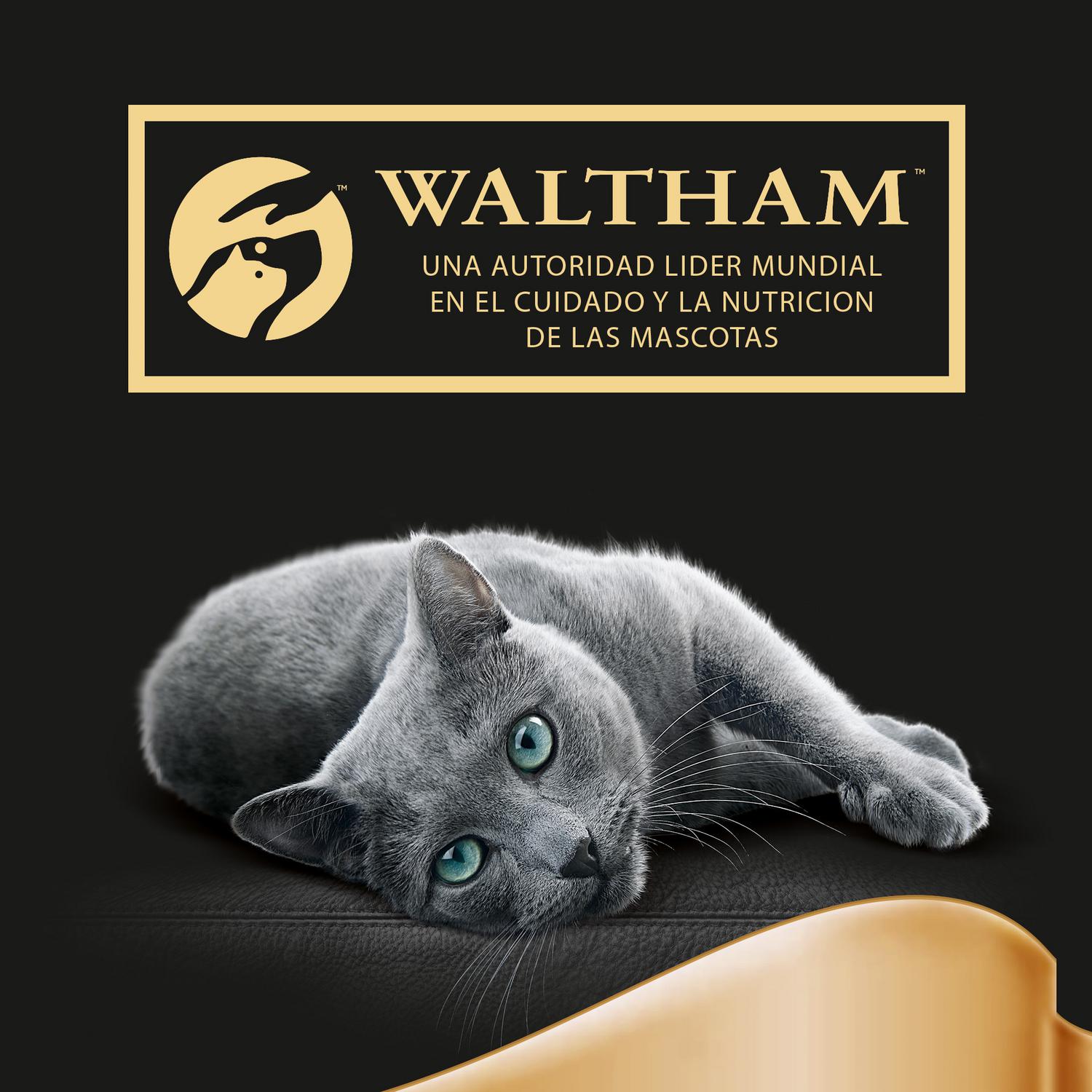 Comida húmeda selección pescados en salsa para gatos Sheba Selezione pack de 4 unidades de 85 g.