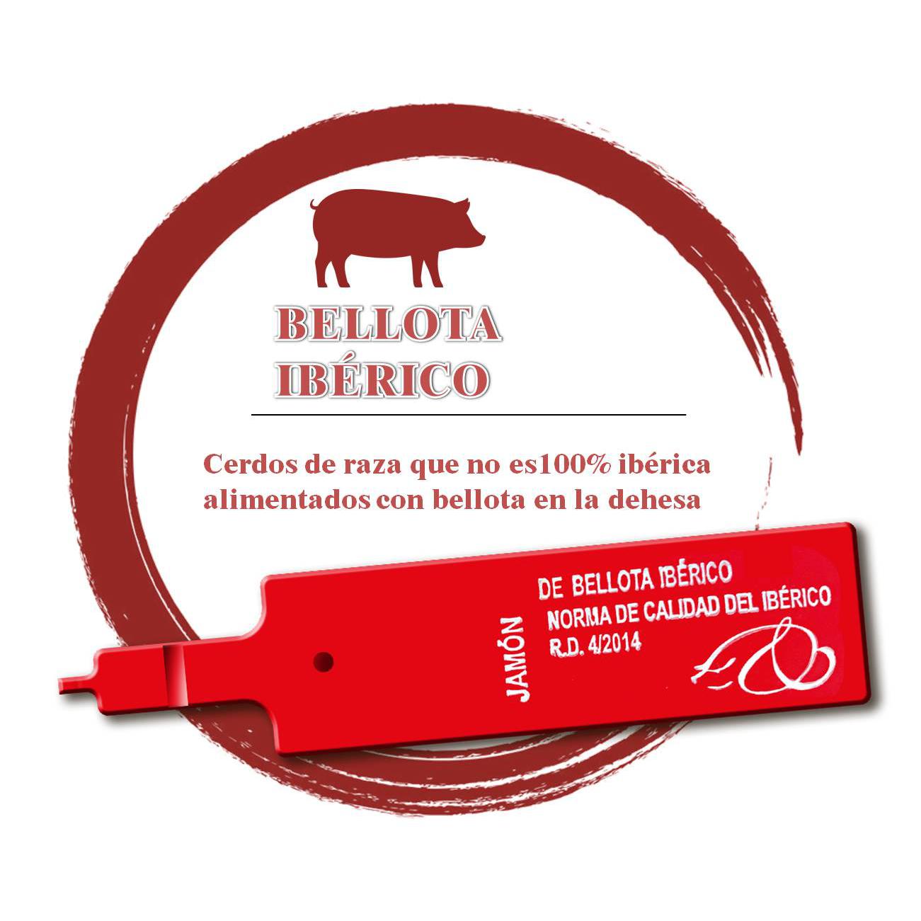 Jamón de bellota ibérico 75% raza ibérica al corte 100 g aprox