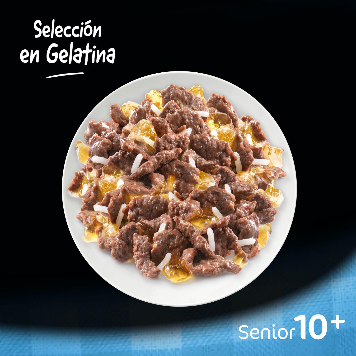 Comida húmeda selección carnes mixtas en gelatina para perro senior Cesar pack de 4 unidades de 100 g.