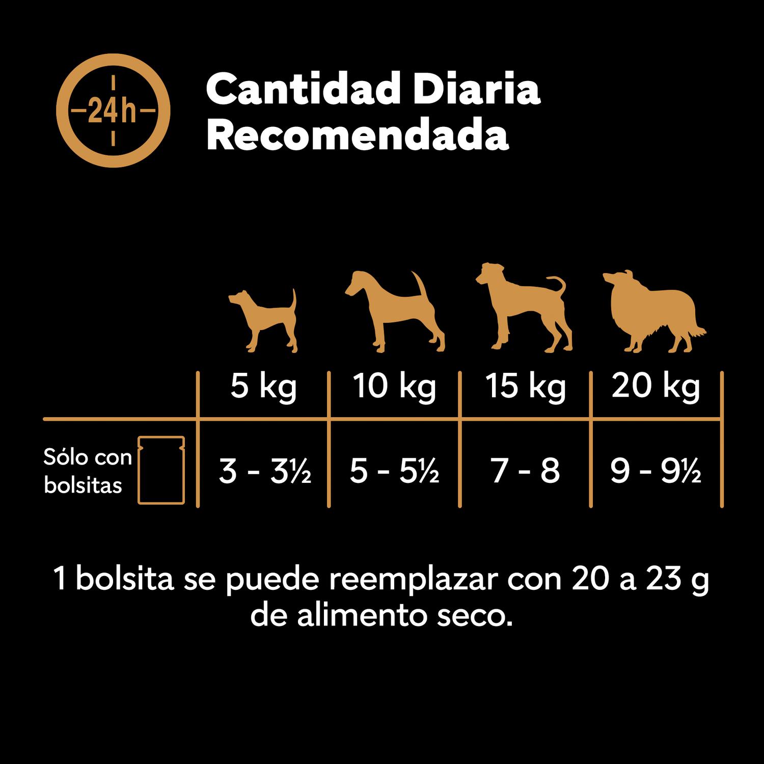Comida húmeda selección carnes mixtas en gelatina para perro senior Cesar pack de 4 unidades de 100 g.