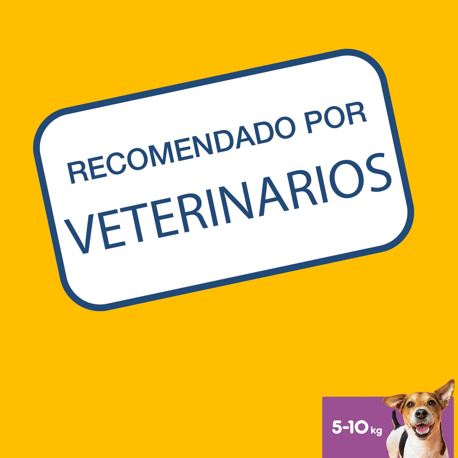 Snacks dental para perros pequeños Pedigree Dentastix pack de 7 unidades