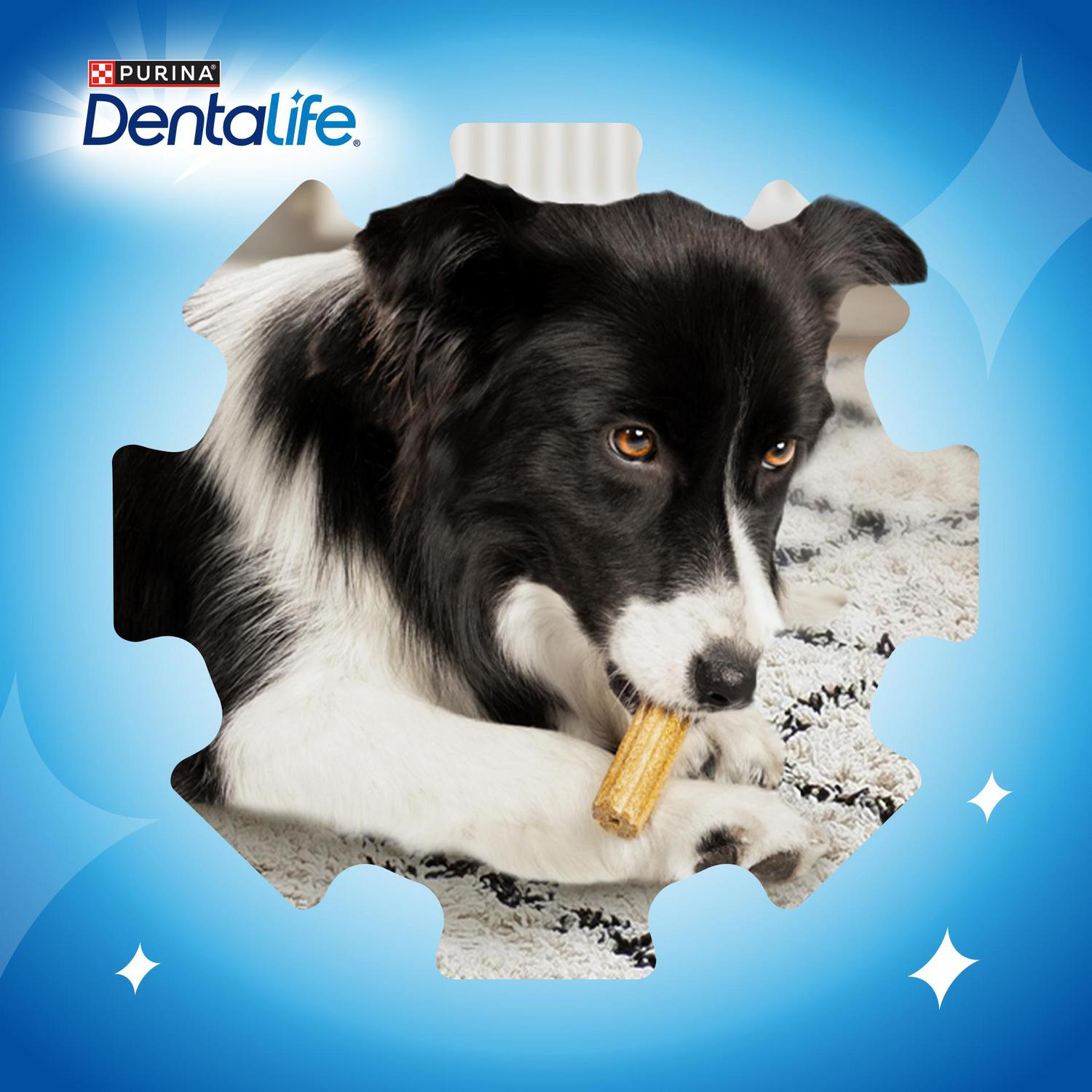 Snack dental para perro mediano Purina Dentalife 24 sticks 552 g.