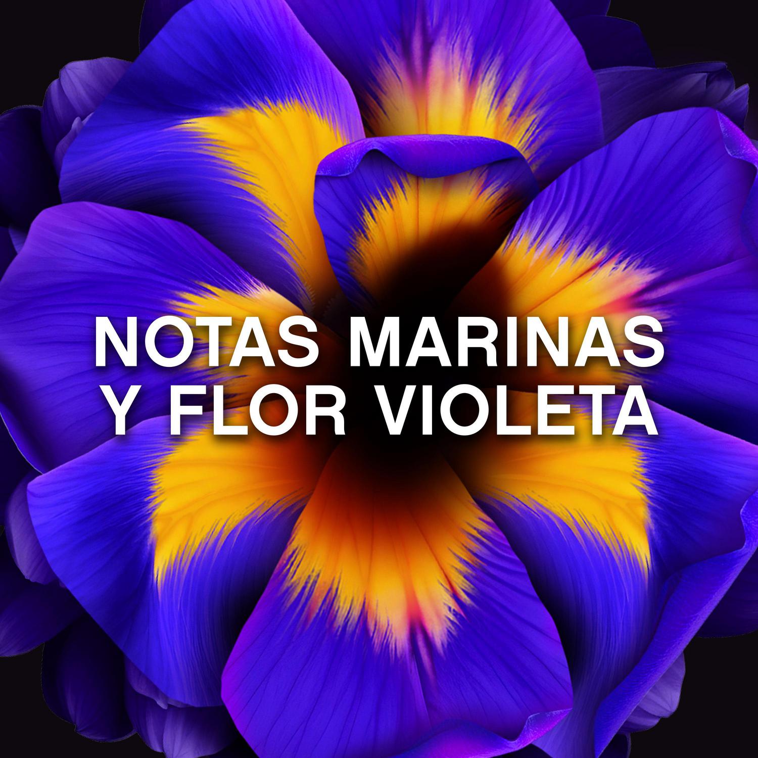 Perfume para la ropa en perlas concentrado frescor violeta Unstoppables Lenor 195 g.