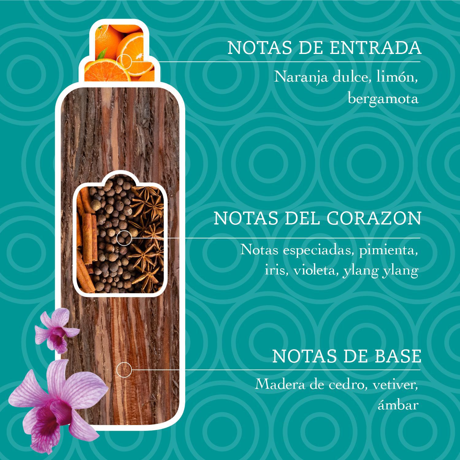 Suavizante aromático concentrado Ayurveda Tesori d'Oriente 42 lavados.