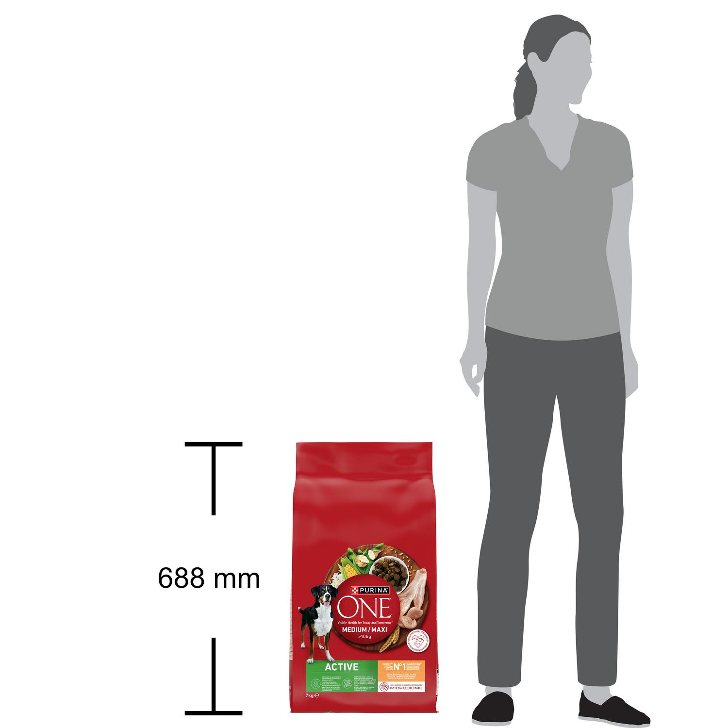 Pienso de pollo active microbioma intestinal equilibrado para perro Purina One 7 kg