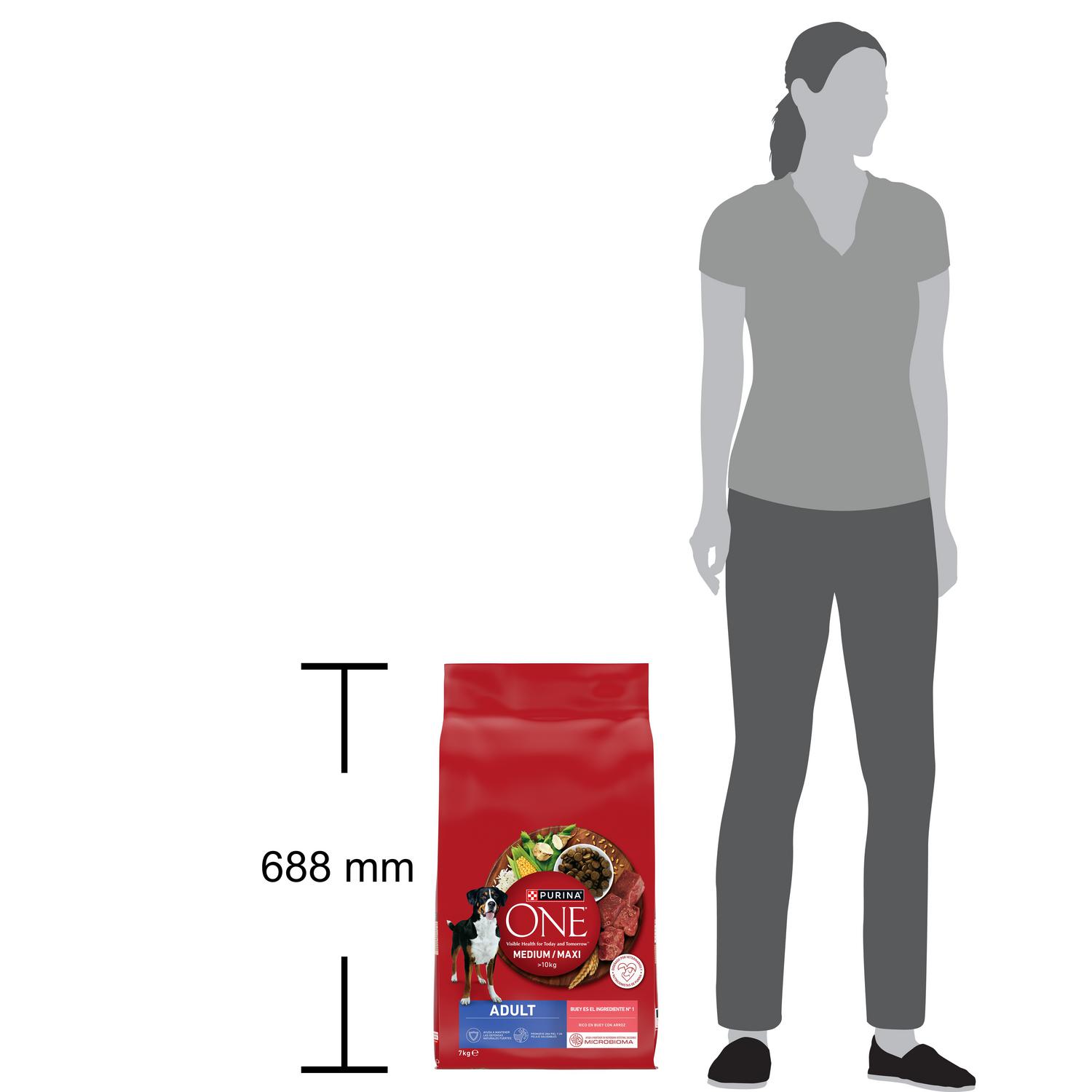 Pienso de buey microbioma intestinal equilibrado para perro adulto Purina One 7 kg