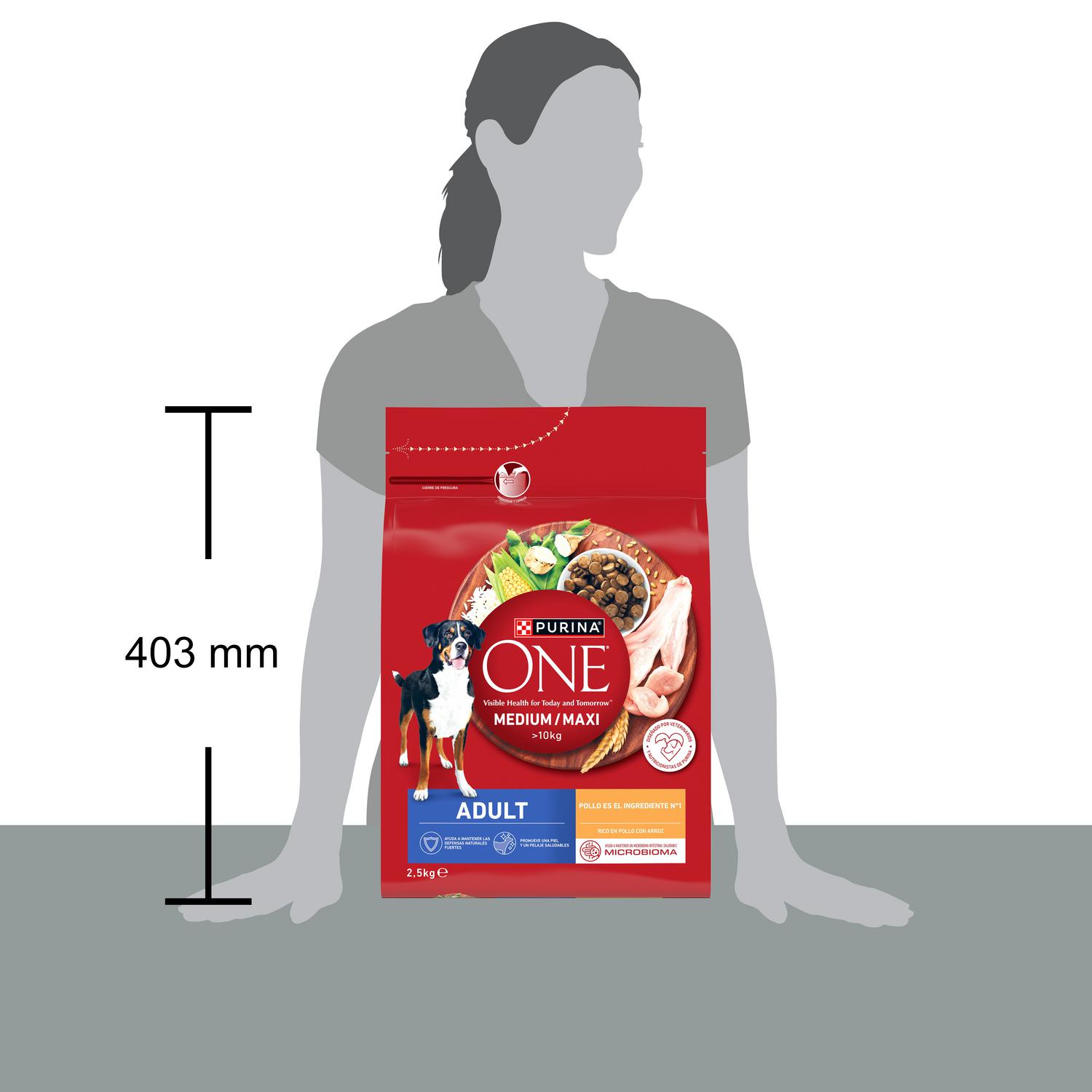 Pienso de pollo microbioma intestinal equilibrado para perro adulto Purina One 2,5 kg
