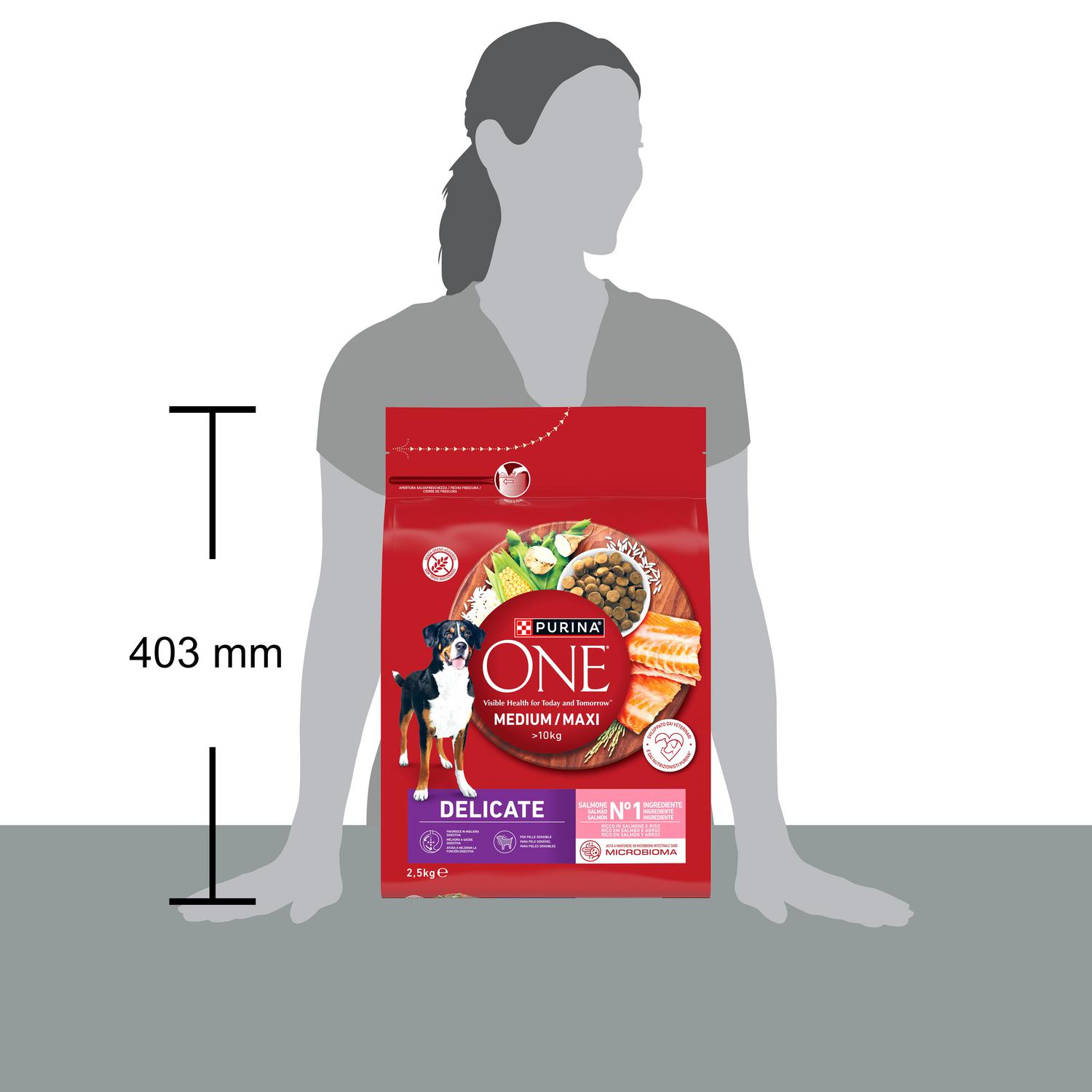 Pienso de salmón digestión delicada microbioma intestinal equilibrado para perro Purina One 2,5 kg