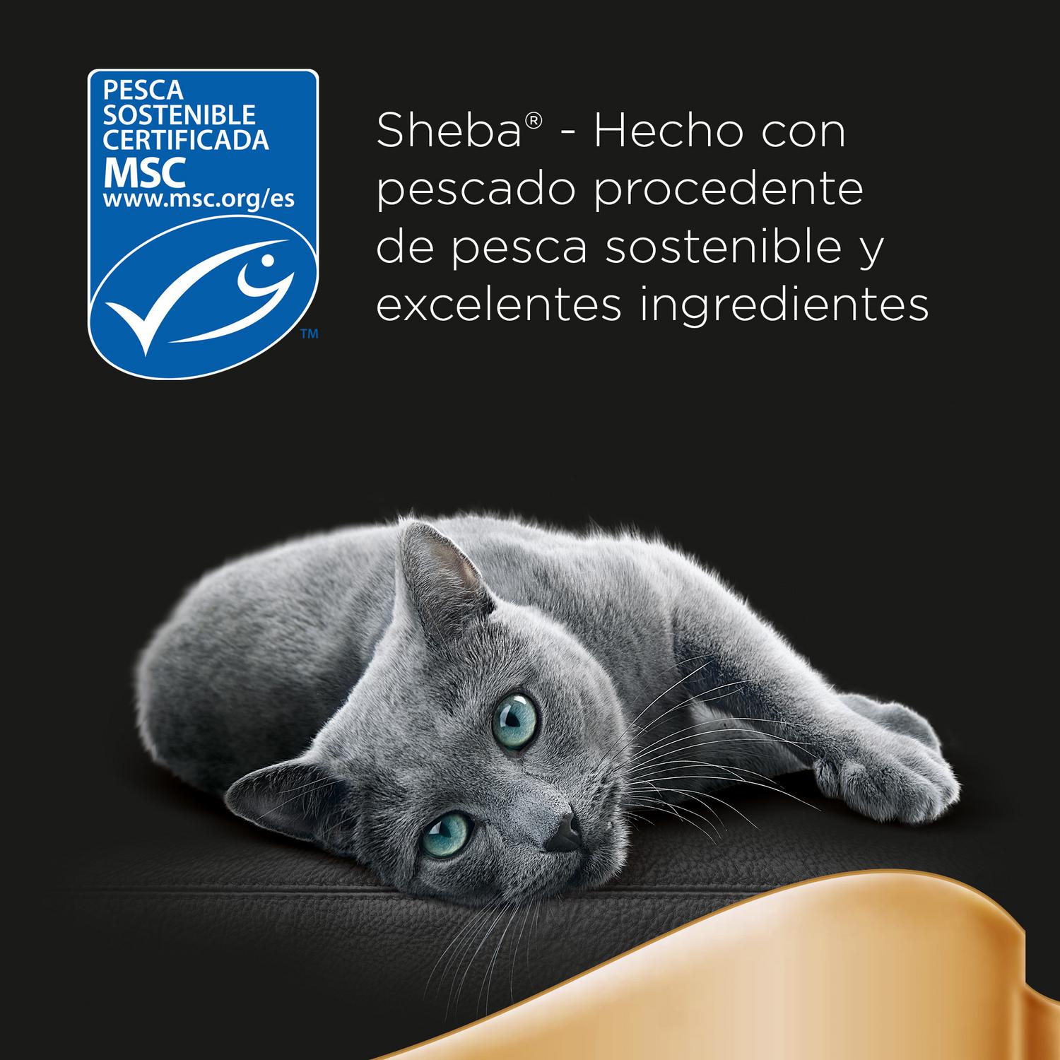 Comida húmeda en salsa de pescados para gatos Délices Du Jour Sheba 6 sobres de 50 g.