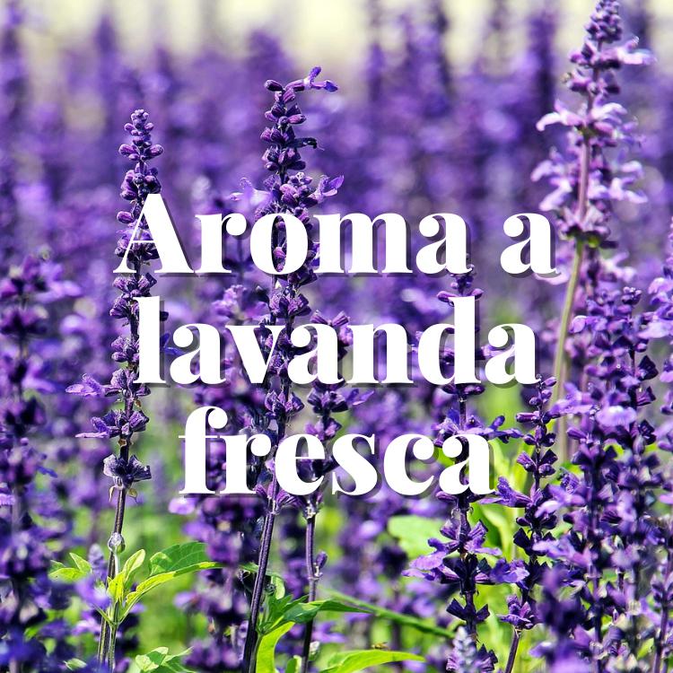 Bolsas antipolillas aroma lavanda fresca Orion 20 ud.
